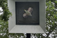 IMG_2050